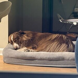 Meet your Posher, Salome